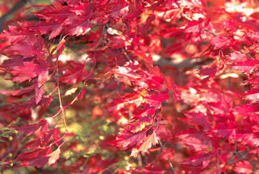 Similar image 7967819