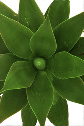 Similar image 7967824