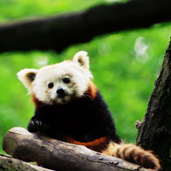 Similar image 7967832