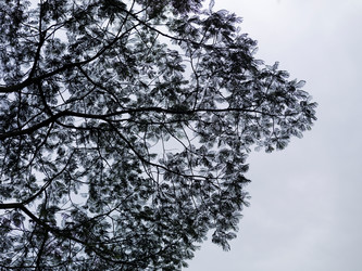 Similar image 7967835