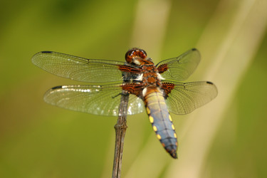 Similar image 7967839