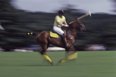 Similar image 7967849