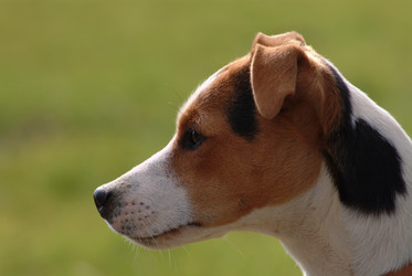 Similar image 7967855