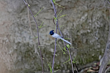 Similar image 7967865