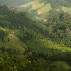 Similar image 7967866