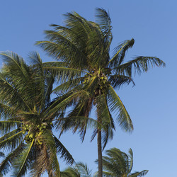 Similar image 7967880