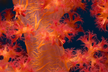 Similar image 7967894