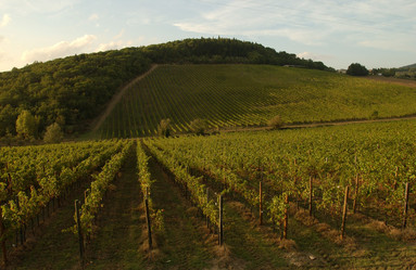 Similar image 7967898