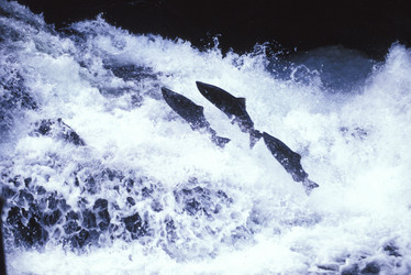 Similar image 7967910