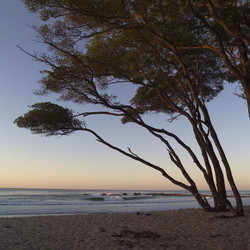 Similar image 7967916