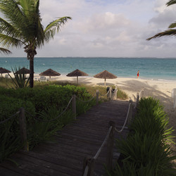 Similar image 7967923