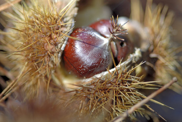 Similar image 7967924