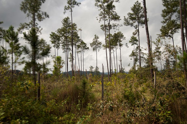 Similar image 7967925