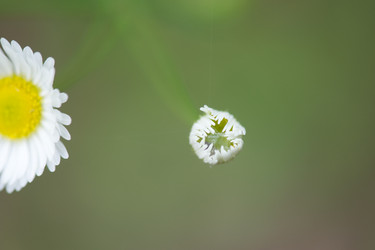 Similar image 7967929