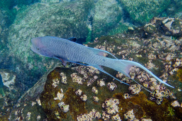 Similar image 7967930