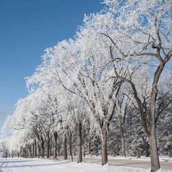 Similar image 7967935