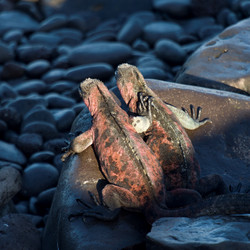 Similar image 7967937