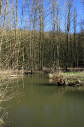 Similar image 7967950