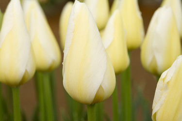 Similar image 7967953