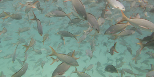 Similar image 7967956