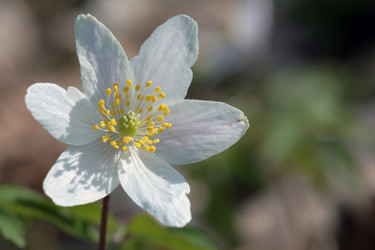 Similar image 7967958