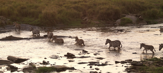 Similar image 7967960