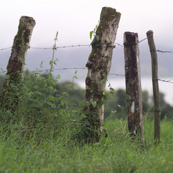 Similar image 7967961