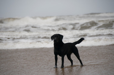 Similar image 7967964