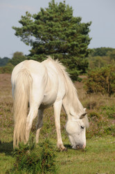 Similar image 7967966