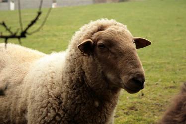 Similar image 7967968