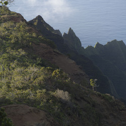 Similar image 7967977