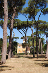 Similar image 7967979