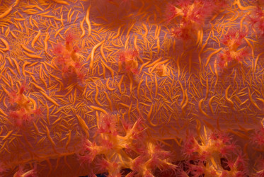 Similar image 7967988