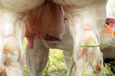 Similar image 7967989