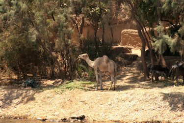 Similar image 7967990