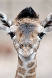 Similar image 7967997