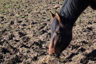 Similar image 7968005