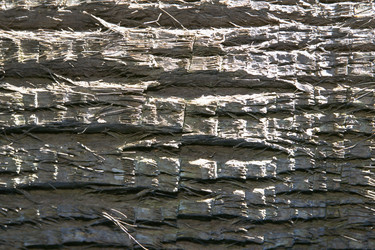 Similar image 7968022