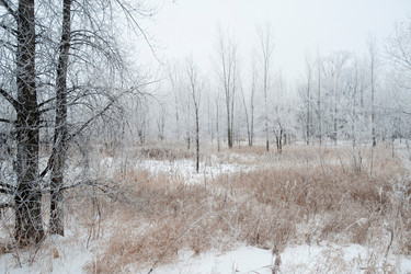 Similar image 7968024