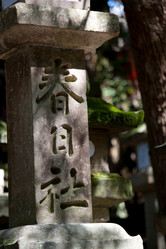 Similar image 7968043