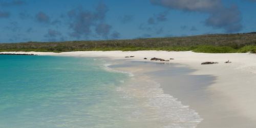 Similar image 7968044