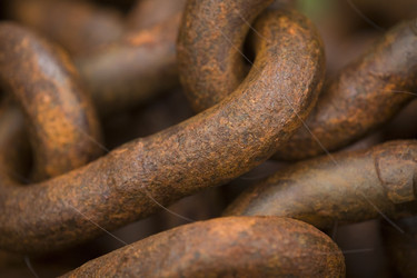 Similar image 7968046