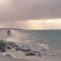 Similar image 7968049