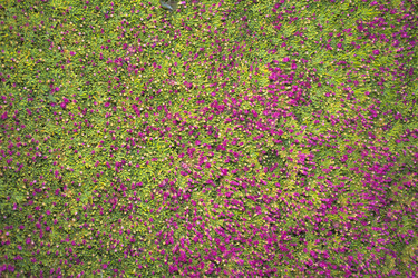 Similar image 7968063