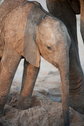 Similar image 7968070