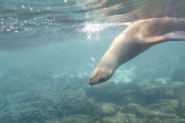 Similar image 7968072