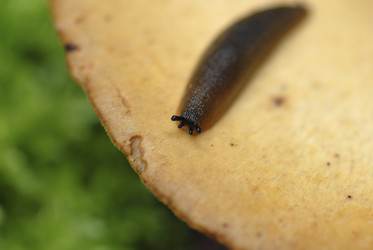 Similar image 7968077