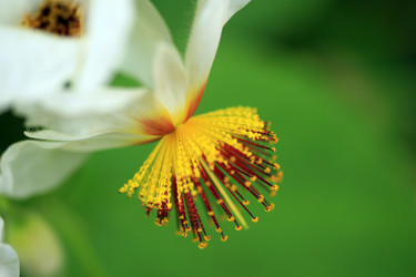 Similar image 7968084