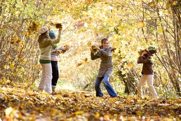 Similar image 7968102