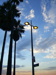 Similar image 7968105